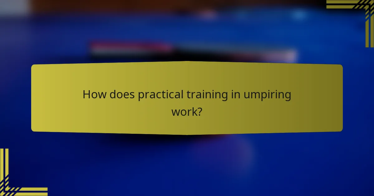 How does practical training in umpiring work?