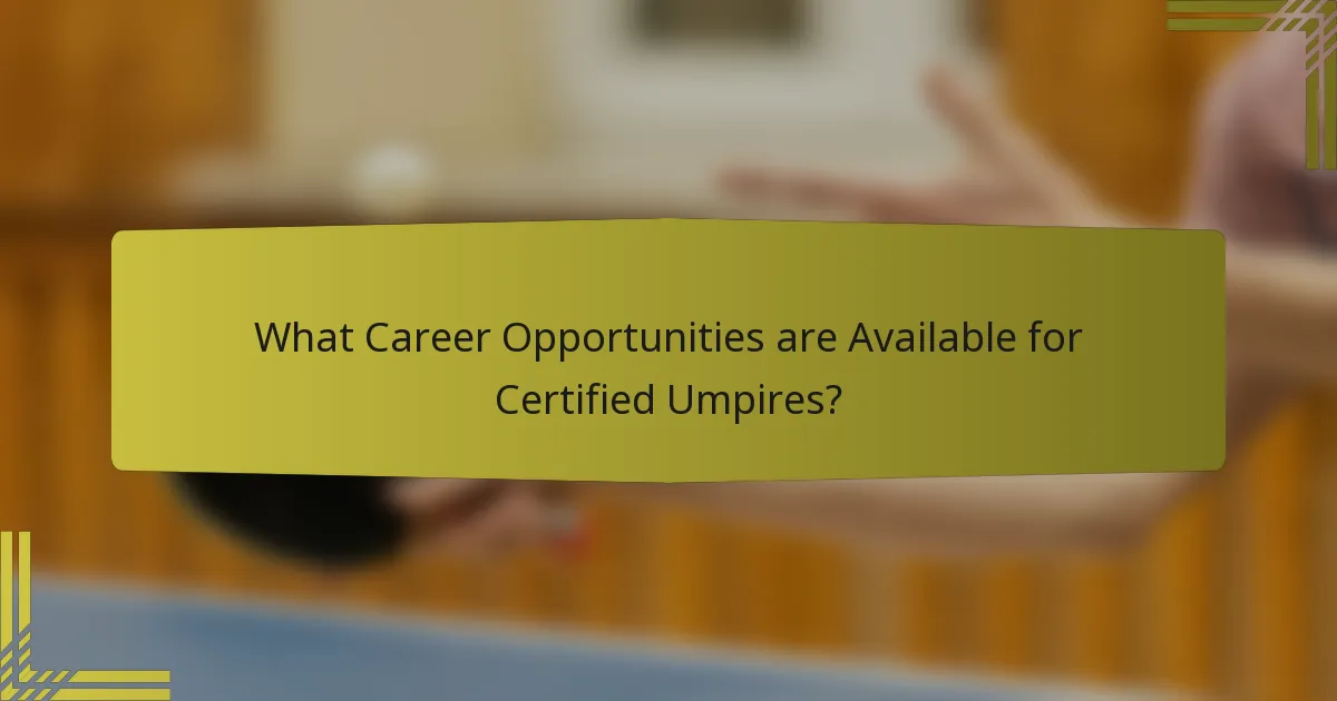 What Career Opportunities are Available for Certified Umpires?