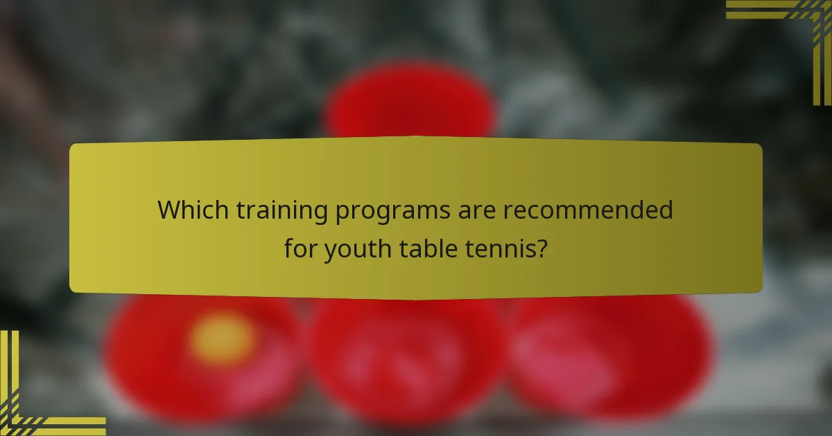 Which training programs are recommended for youth table tennis?